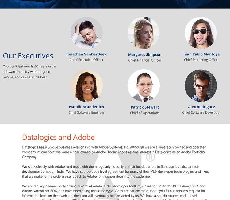 Datalogics Corporate Website - Darren Wiseman, Lord Mandrake Design